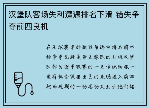 汉堡队客场失利遭遇排名下滑 错失争夺前四良机